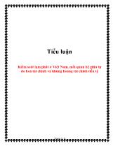 Tiểu luận Kiểm soát lạm phát ở Việt Nam, mối quan hệ giữa tự do hoá tài chính và khủng hoảng tài chính tiền tệ