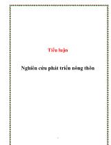 Tiểu luận Nghiên cứu phát triển nông thôn