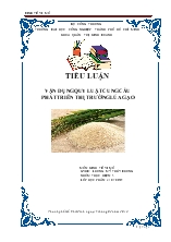 Tiểu luận Vận dụng quy luật cung cầu phát triển thị trường lúa gạo