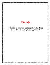 Tiểu luận Vốn đầu tư trực tiếp nước ngoài và tác động của nó đến các quốc gia đang phát triển