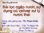 Bãi lọc ngập nước sử dụng cỏ vetiver xử lý nước thải
