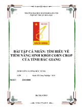 Bài tập cá nhân: Tìm hiều về tiềm năng sinh khối corn crop của tỉnh Bắc Giang