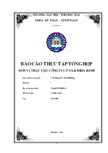 Báo cáo Thực tập tổng hợp đơn vị thực tập: công ty cổ phần sản xuất thương mại Đa Hènh