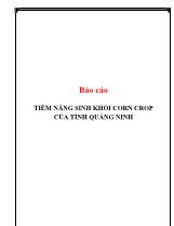 Báo cáo Tiềm năng sinh khối corn crop của tỉnh Quảng Ninh