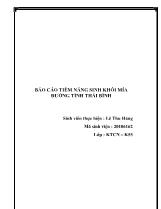 Báo cáo Tiềm năng sinh khối mía đường tỉnh Thái Bình