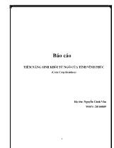 Báo cáo Tiềm năng sinh khối từ ngô của tỉnh Vĩnh Phúc