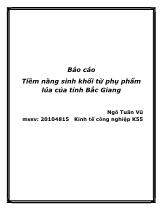 Báo cáo Tiềm năng sinh khối từ phụ phẩm lúa của tỉnh Bắc Giang