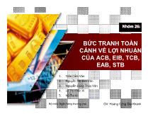 Bức tranh toàn cảnh về lợi nhuận của acb, eib, tcb, eab, stb