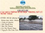 Chuyên đề Các quá trình sinh học trong xử lý nước thải