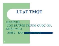 Chuyên đề Con đường trung quốc gia nhập WTO