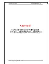 Chuyên đề Năng lực của doanh nghiệp - Đánh giá điểm mạnh và điểm yếu