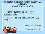 Chuyên đề Tế bào gốc tạo máu và ứng dụng