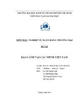 Đề tài Bảo lãnh tại các ngân hàng thương mại Việt Nam
