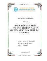 Đề tài Diễn biến lạm phát từ năm 2008 đến nay và nguyên nhân lạm phát tại Việt Nam