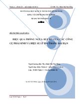 Đề tài Hiệu quả phòng ngừa rủi ro của các công cụ phái sinh và hiệu suất ipo trong dài hạn