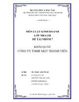 Đề tài Khái quát công ty TNHH một thành viên
