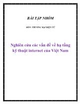 Đề tài Nghiên cứu các vấn đề về hạ tầng kỹ thuật internet của Việt Nam