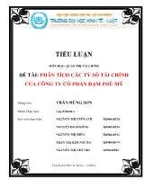 Đề tài Phân tích các tỷ số tài chính của công ty cổ phần đạm Phú Mỹ