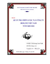 Đề tài Quản trị chiến lược tại công ty beeline Việt Nam năm 2009 - 2010