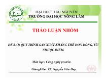 Đề tài Quy trình sản xuất kháng thể đơn dòng, ưu nhược điểm