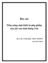 Đề tài Tiềm năng sinh khối từ phụ phẩm của sắn của tỉnh Hưng Yên
