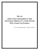 Đề tài Tiềm năng sinh khối từ phụ phẩm đậu phộng của tỉnh thanh hóa (peanut crop residues)