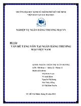 Đề tài Vấn đề tăng vốn tại ngân hàng thương mại Việt Nam