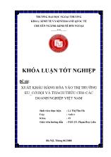 Đề tài Xuất khẩu hàng hóa vào thị trường EU_cơ hội và thách thức cho các doanh nghiệp Việt Nam