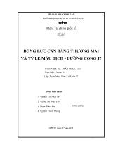 Khóa luận Động lực cân bằng thương mại và tỷ lệ mậu dịch - Đường cong j?