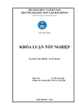 Khóa luận Giải pháp mở rộng và nâng cao hiệu quả tín dụng tiêu dùng tại ngân hàng thương mại cổ phần sài gòn thương tín - Chi nhánh Hải Phòng