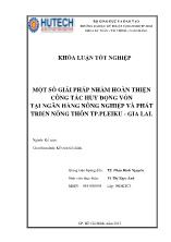 Khóa luận Một số giải pháp nhằm hoàn thiện công tác huy động vốn tại ngân hàng nông nghiệp và phát triển nông thôn Thành phố Pleiku - Gia lai