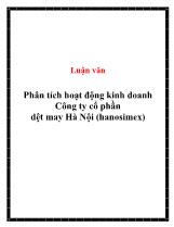 Luận văn Phân tích hoạt động kinh doanh Công ty cổ phần dệt may Hà Nội (hanosimex)