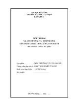 Môi trường và ảnh hưởng của môi trường đến chất lượng cuộc sống con người