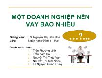 Một doanh nghiệp nên vay bao nhiêu