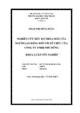 Nghiên cứu mức độ thỏa mãn của người lao động đối với tổ chức của công ty TNHH Phù Đổng