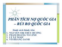 Phân tích nợ quốc gia – Rủi ro quốc gia