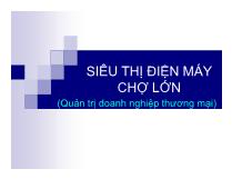 Siêu thị điện máy chợ lớn (quản trị doanh nghiệp thương mại)