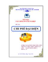 Tài chính doanh nghiệp - Chi phí đại diện