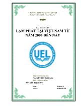 Tiểu luận Bài lạm phát tại Việt Nam từ năm 2008 đến nay