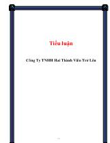 Tiểu luận Công ty TNHH hai thành viên trở lên