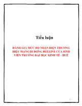 Tiểu luận Đánh giá mức độ nhận diện thương hiệu mạng di động beeline của sinh viên trường đại học kinh tế - Huế