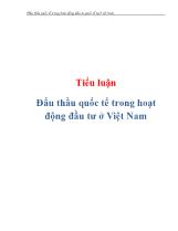 Tiểu luận Đấu thầu quốc tế trong hoạt động đầu tư ở Việt Nam