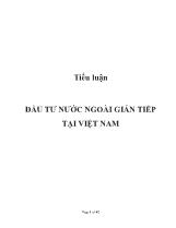 Tiểu luận Đầu tư nước ngoài gián tiếp tại Việt Nam