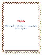 Tiểu luận Đầu tư quốc tế gián tiếp, thực trạng và giải pháp ở Việt Nam