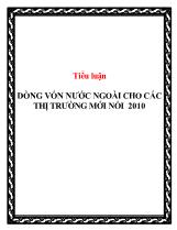 Tiểu luận dòng vốn nước ngoài cho các thị trường mới nổi 2010