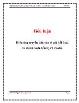 Tiểu luận Hiệu ứng truyền dẫn của tỷ giá hối đoái và chính sách tiền tệ ở Croatia