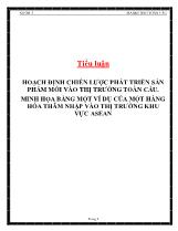 Tiểu luận Hoạch định chiến lược phát triển sản phẩm mới vào thị trường toàn cầu, minh họa bằng một ví dụ của một hàng hóa thâm nhập vào thị trường khu vực Asean