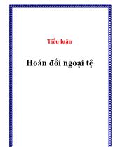 Tiểu luận Hoán đổi ngoại tệ