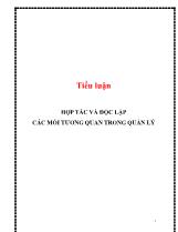 Tiểu luận Hợp tác và độc lập các mối tương quan trong quản lý