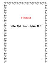 Tiểu luận Kiểm định hành vi lợi tức IPO